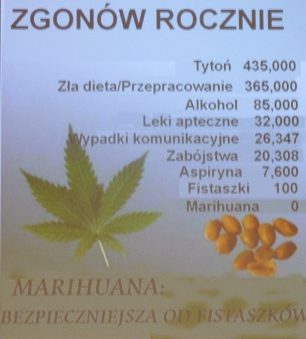 konopie w teorii i praktyce