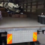 Ogromna plantacja marihuany przy pałacu Buckingham