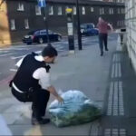 Ogromna plantacja marihuany przy pałacu Buckingham