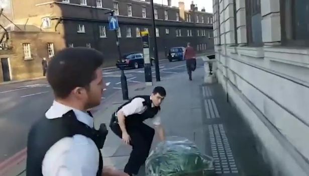 Ogromna plantacja marihuany przy pałacu Buckingham