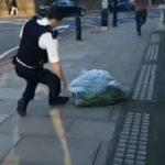 Ogromna plantacja marihuany przy pałacu Buckingham