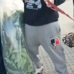 Ogromna plantacja marihuany przy pałacu Buckingham