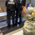 Przemyt haszyszu na Ukrainę