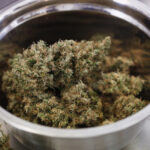 Fabryka marihuany Canopy Growth