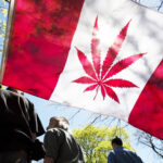 Legalizacja marihuany w Kanadzie