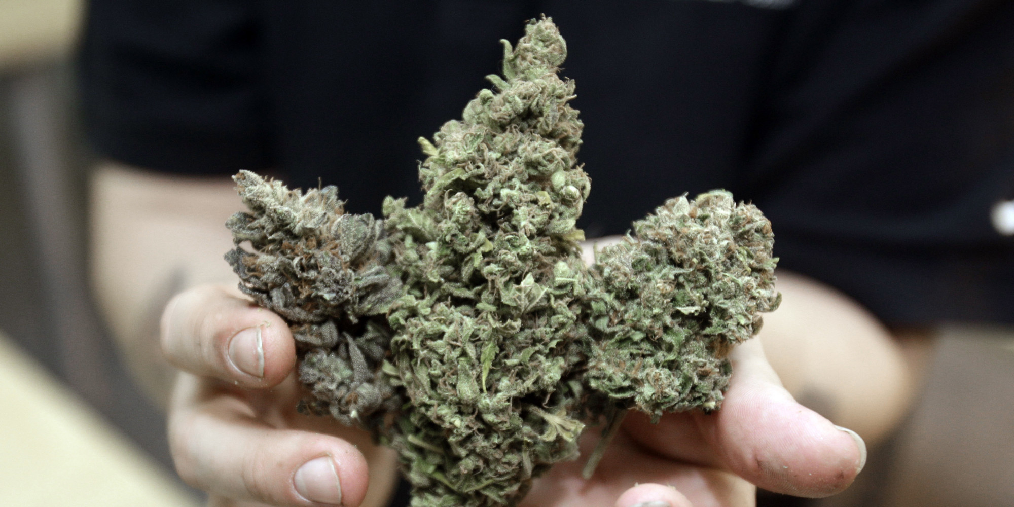 Legalizacja marihuany w Kanadzie