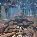 Ognisko z marihuany w Indonezji