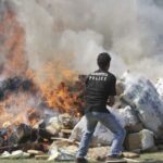 Ognisko z marihuany w Indonezji