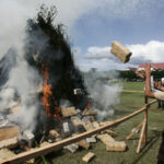 Ognisko z marihuany w Indonezji