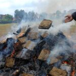 Ognisko z marihuany w Indonezji