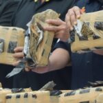 Ognisko z marihuany w Indonezji