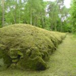 Konopie indyjskie zamiast narkozy