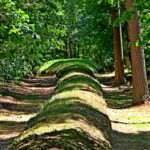 Konopie indyjskie zamiast narkozy