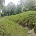 Konopie indyjskie zamiast narkozy