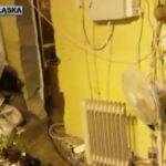 krzaki marihuany w Jeleniej Górze