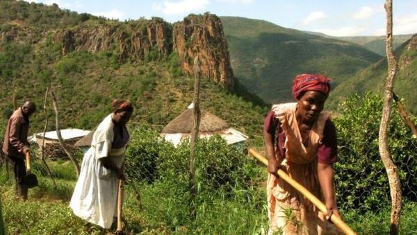 Legalizacja marihuany w RPA