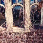 Międzynarodowy kościół marihuany w Denver