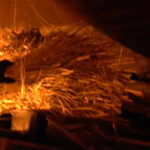 Największa plantacja marihuany w Polsce