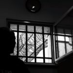 Podziemie Nadziei - film dokumentalny o medycznej marihuanie w Polsce