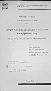 Terapia skazanych narkomanów w warunkach izolacji penitencjarnej - Katarzyna Michałek