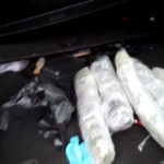 Marihuanę z Holandii przywiózł do Kielc w volkswagenie