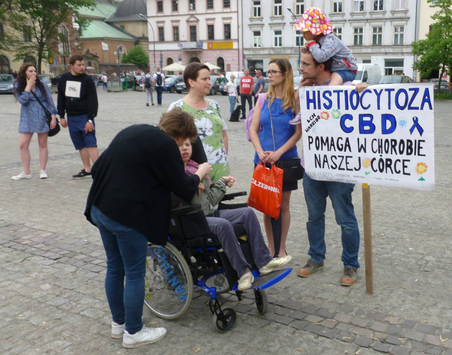 marsz wyzwolenia konopi 2017