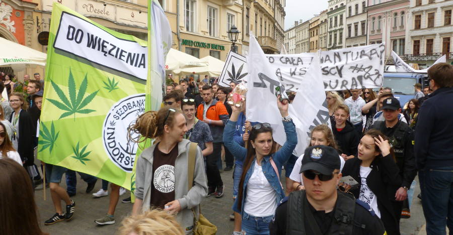 marsz wyzwolenia konopi 2017