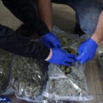 Dwupoziomowa plantacja marihuany pod Cieszynem