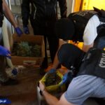 Dwupoziomowa plantacja marihuany pod Cieszynem