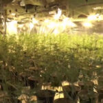 Policja zgubiła granaty