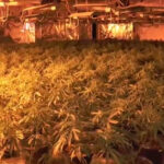 Policja zgubiła granaty