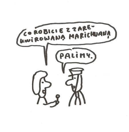 Skonfiskowana marihuana