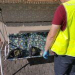 Uprawa marihuany w szambie w Mikołowie