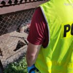 Uprawa marihuany w szambie w Mikołowie