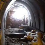 Uprawa marihuany w szambie w Mikołowie