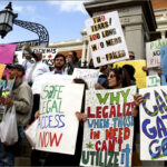 Jak żyć w świecie legalnej marihuany