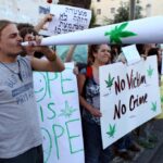 Jak żyć w świecie legalnej marihuany