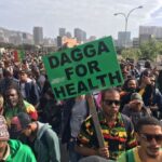 Jak żyć w świecie legalnej marihuany