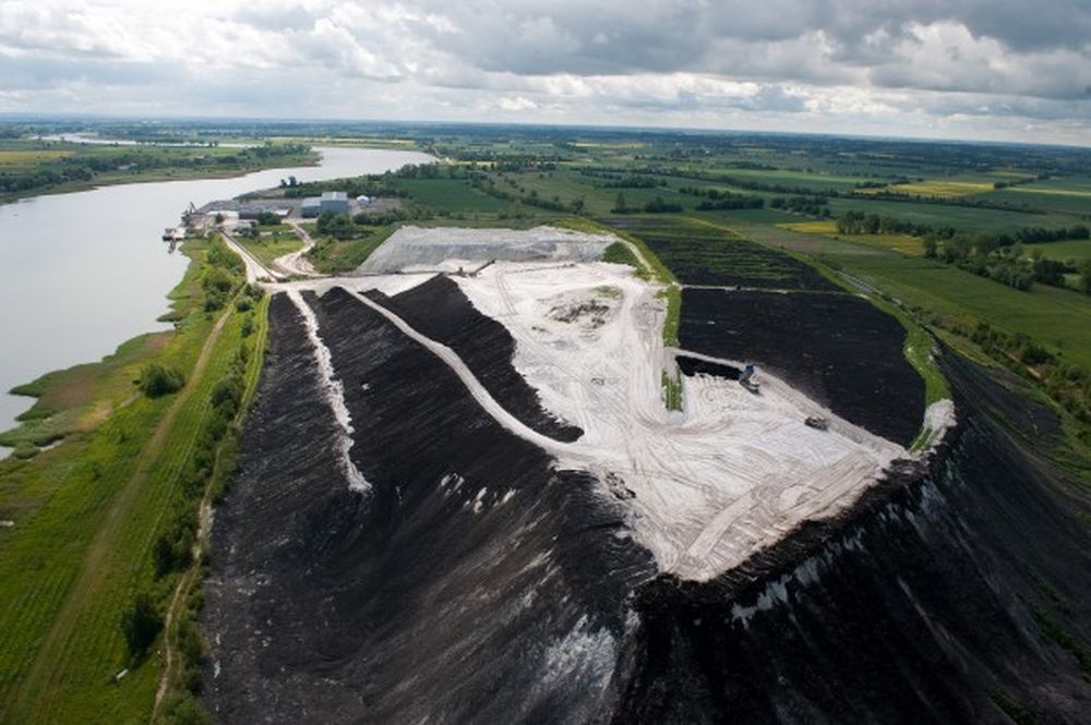 Plantacja toksycznej marihuany na Pomorzu