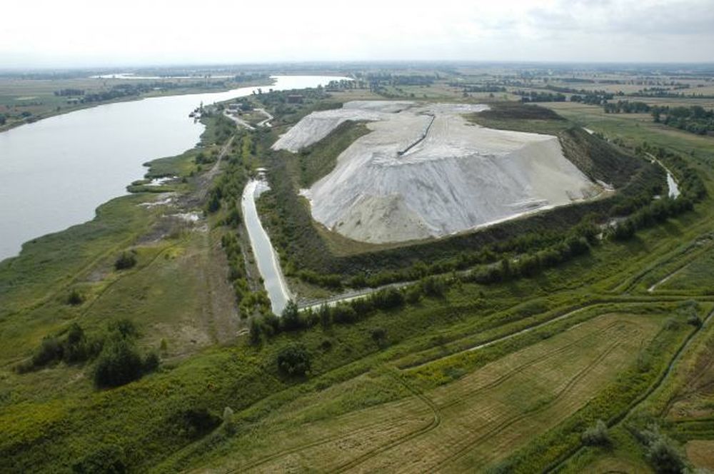 Plantacja toksycznej marihuany na Pomorzu
