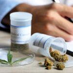 13.00 podan na refundacje leczenia medyczna marihuana w niemczech