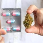 medyczna marihuana w aptekach? Jeszcze poczekamy