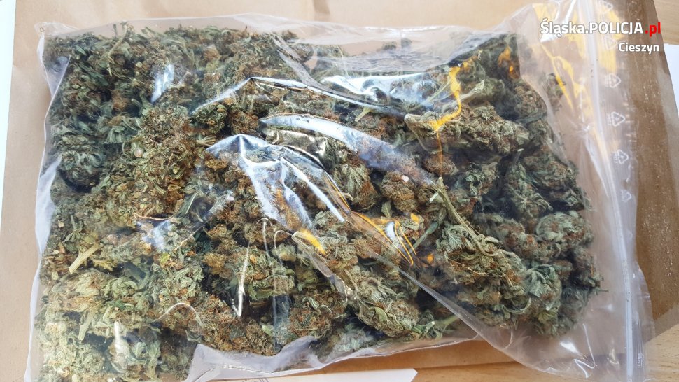 Cieszyńska policja zatrzymała 30-letniego mieszkańca Mikołowa. Posiadał przy sobie 200 gramów marihuany.