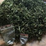 Bielsko0Biała - zatrzymanie przez policję. 20 porcji marihuany