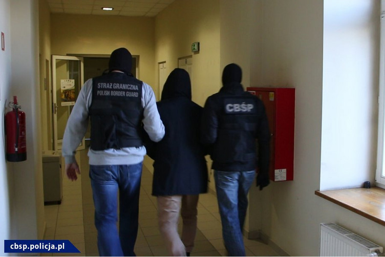 15 ton marihuany kibole policja