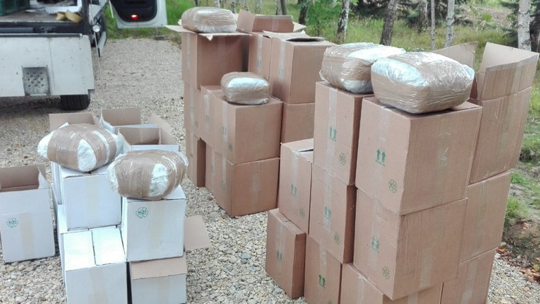 15 ton marihuany kibole policja