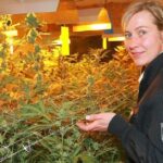 niemiecka policja chce legalizacji marihuany