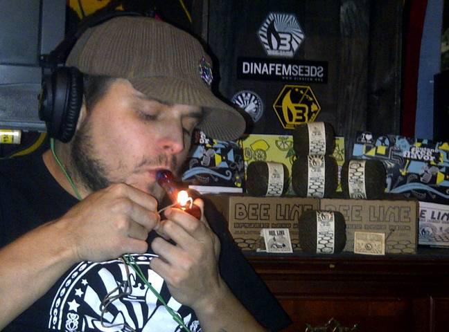 bobby nuggz wywiad cannabisnews sickmed seeds