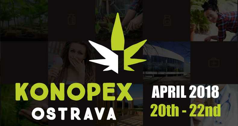 targi konopne konopex ostrava 2018