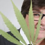 Polskie królowe konopi z podkieleckiego przyjechały ze Szwecji